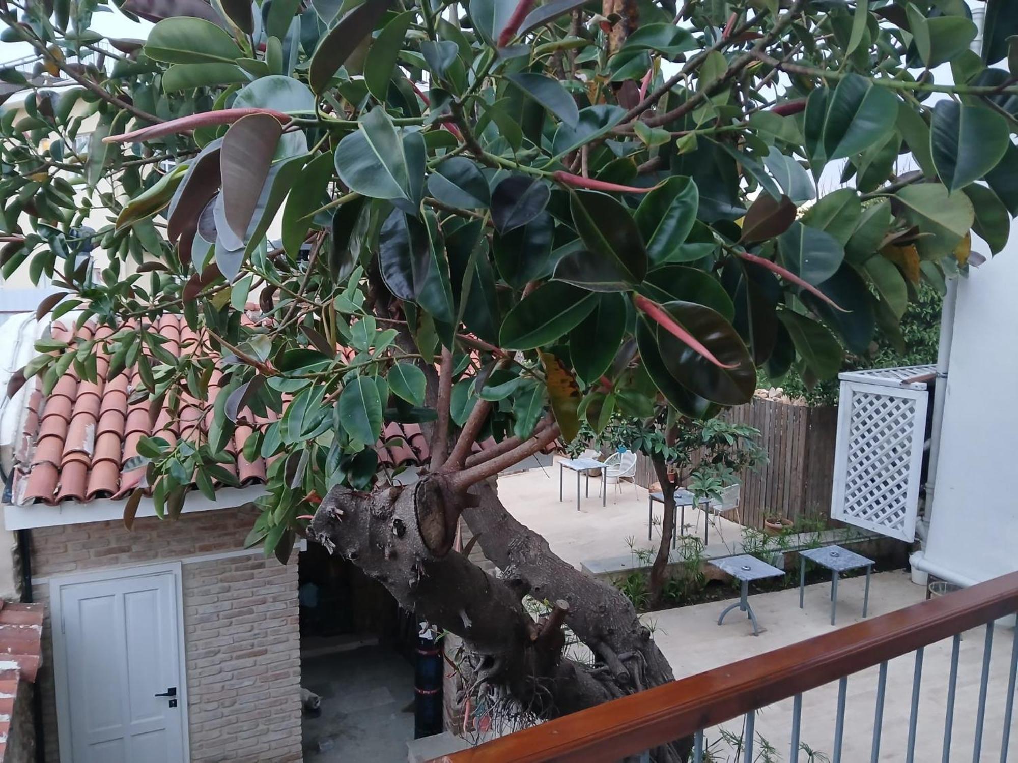 Hotel House Of Good Things Antalia Esterno foto